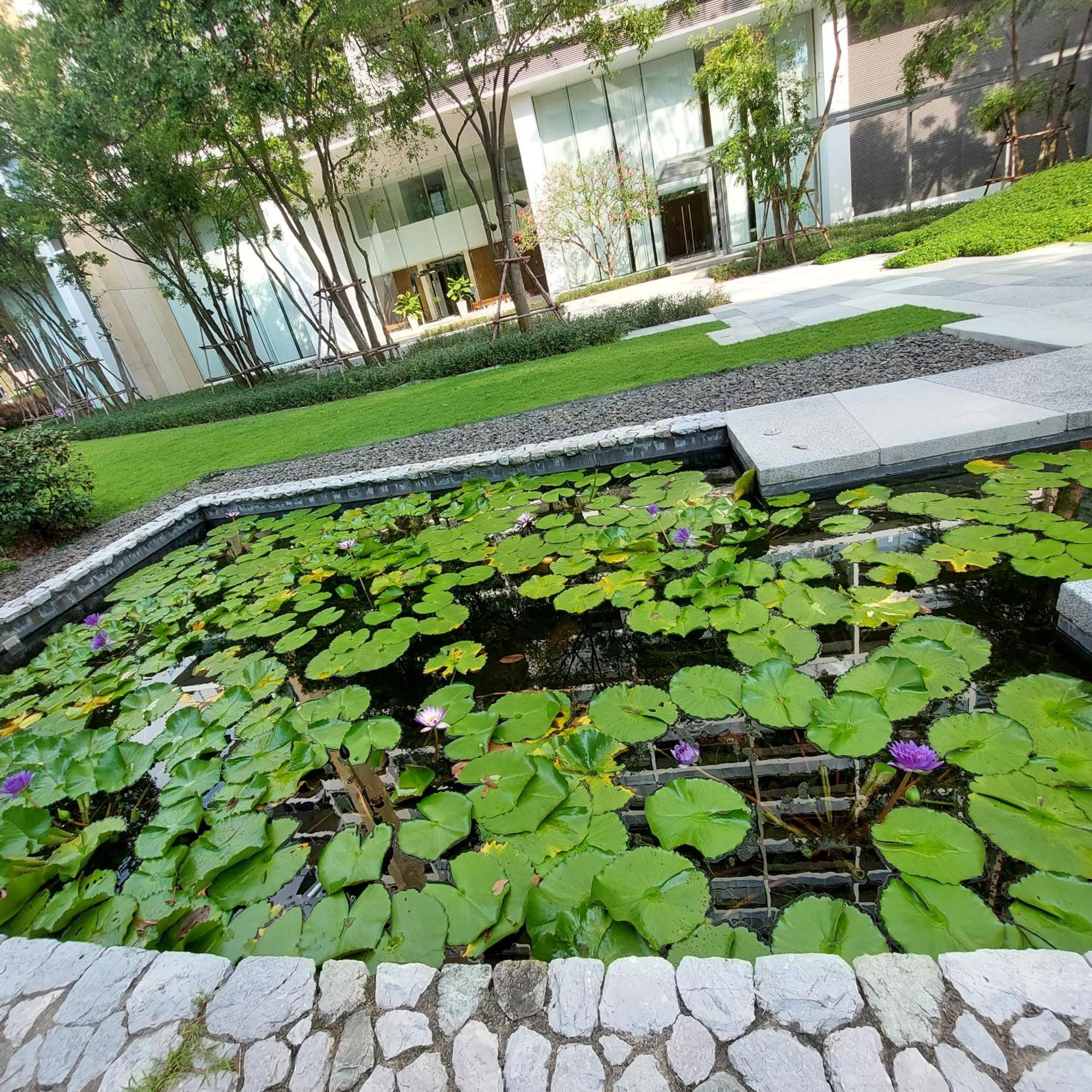 芭堤雅北角公寓 芭達亞 外观 照片